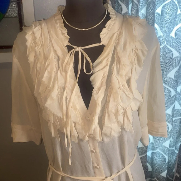 Project Alabama 100% silk sheer mini dress - Picture 2 of 7